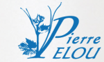 logo domaine