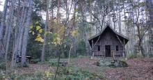 Cabane