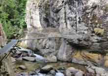 Gorges Carança pont de singe