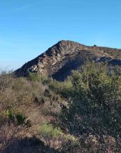 Le roc majorca