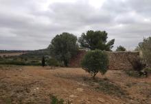Paysage