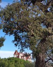 Chateau de Valmy