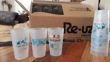 écocups