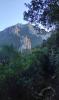 Paysage 1