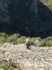 AG dans le Pilier saint-martin
